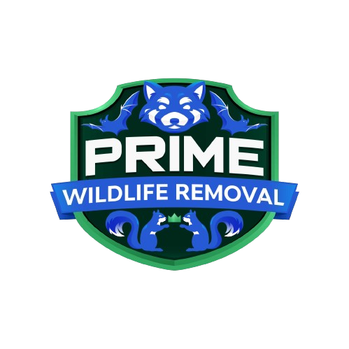 Wildlife Removal Fort Wayne